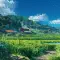 山